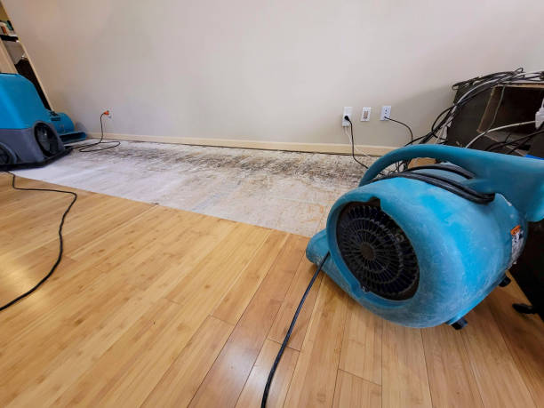 Professional Basement Flood Cleanup technician working in Austin, MN